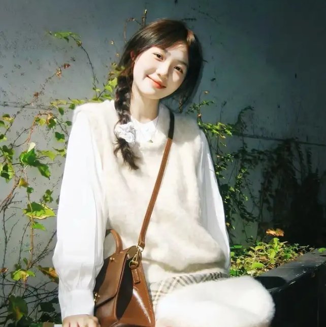 警察世家：波士顿